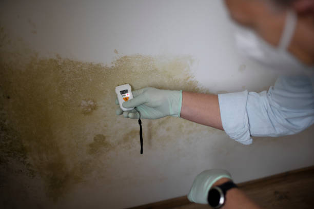 Shenandoah, LA Mold Remediation Company