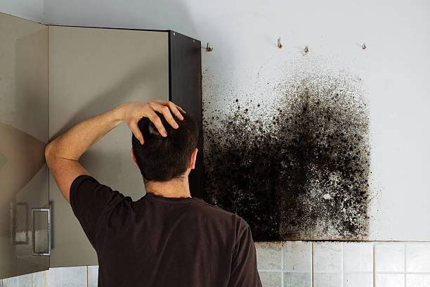 Shenandoah, LA Mold Remediation Company